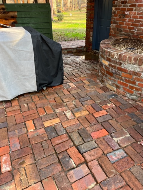 Moss and Algae Brick Paver Cleaning in Knoxville, TN