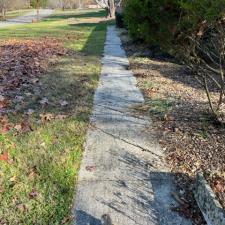 Moss and Algae Paver Cleaning 5