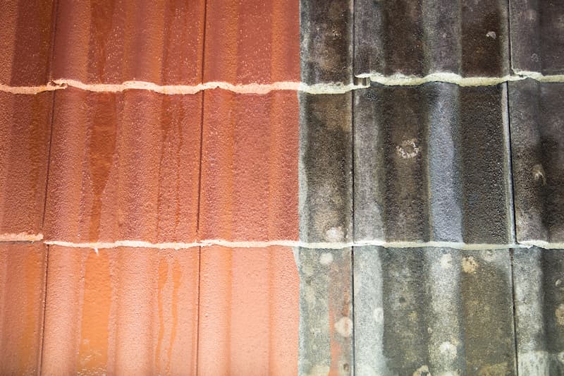 Knoxville Mildew Removal