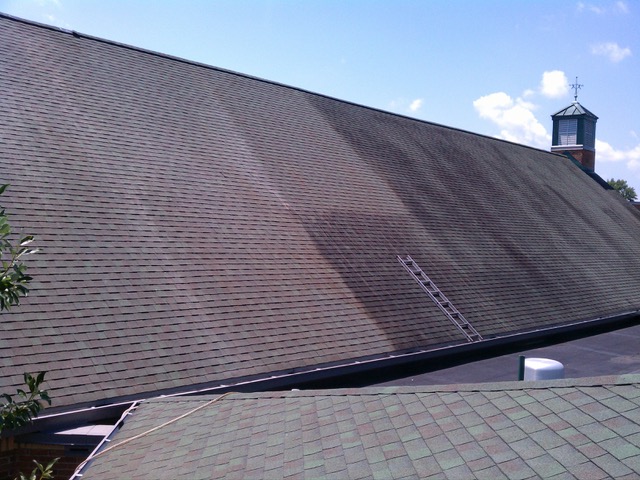 Roof cleaning new